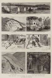 トランスバールにおける最近の金の発見